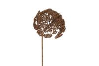 Countryfield achillea 77,5 cm bruin - thumbnail