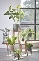 Mica Decorations Blom plant stand zwart h50cm - thumbnail