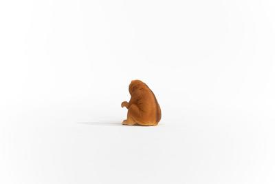 Schleich wild life plompe lori 14852