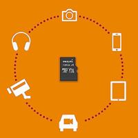 Geheugenkaart Philips micro SDXC Class 10 UHS-I U1 128GB - thumbnail