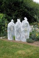 Tomatenvlieshoes 50x50x1500cm - thumbnail