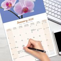 Orchidee Kalender 2026 - thumbnail