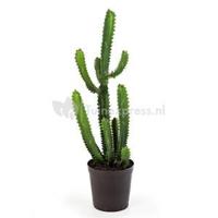 Kunstplant Finger cactus M - thumbnail