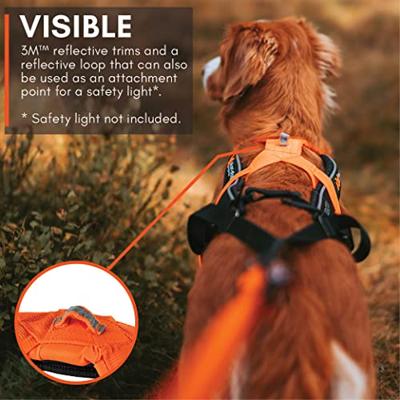 Non-stop dogwear® Trektuig Freemotion Harness 5.0, zwart/oranje, Maat: 7