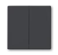 Busch-Jaeger 2CKA001751A2930 Serietoets Afdekking Future lineair Zwart-grijs, Antraciet 1 stuk(s) - thumbnail
