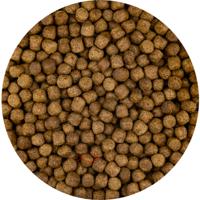 Vivani Top Growth Koivoer 6mm - Compleet Koi Voer met Pre-/Probiotica, 5L Emmer - thumbnail