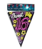 Vlaggenlijn 65 Jaar Neon - 10 meter - thumbnail