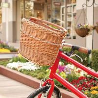 RIXEN & KAUL mand, voorop fr.basket r&k mini brown - thumbnail