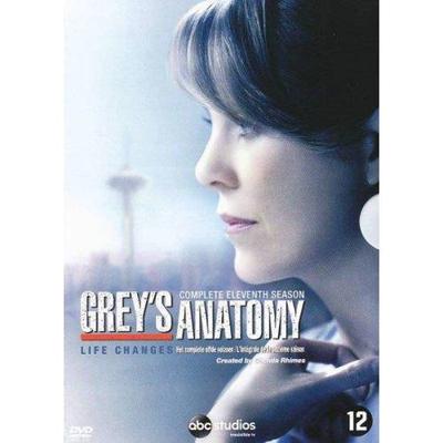 Grey's Anatomy - Seizoen 11 - DVD (8717418472924)