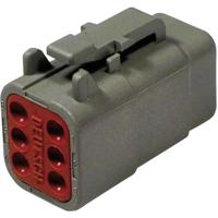 TE Connectivity DTM 06-6 S Ronde connector Stekker, recht Totaal aantal polen: 6 Serie (ronde connectoren): DTM 1 stuk(s) - thumbnail