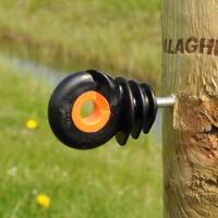 Gallagher XDI schroef-ringisolator hout (75) - 065059 065059 - thumbnail