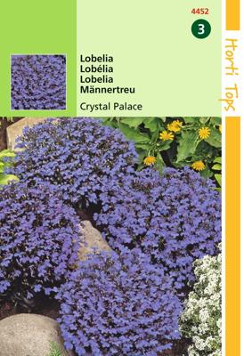 Zaden Lobelia Crystal Palace Hortitops - Hortitops