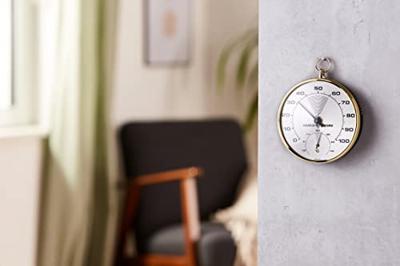 TFA Dostmann 45.2007 Thermo- en hygrometer Goud