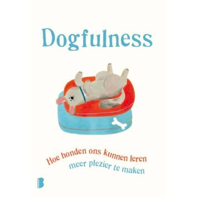 Paolo  Valentino Dogfulness