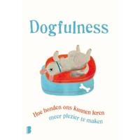 Paolo  Valentino Dogfulness - thumbnail