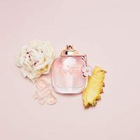 Dolce & Gabbana Dolce Garden Eau de Parfum 75ml - thumbnail