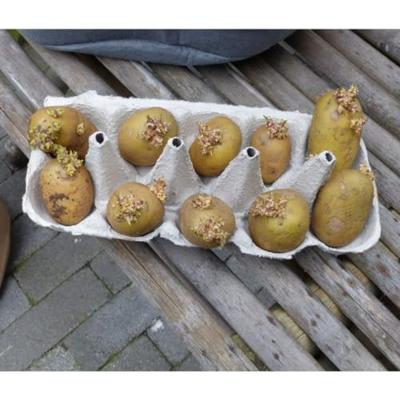 Nature aardappelkweekzak 37 l antracietkleurig