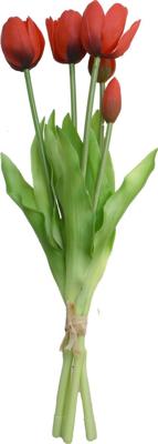 Boeket 5 tulpen rood Driesprong Collection - Driesprong collection