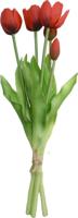 Boeket 5 tulpen rood Driesprong Collection - Driesprong collection - thumbnail