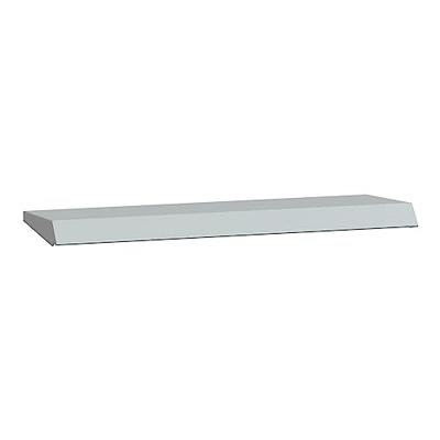 Schneider Electric NSYTJ6025 NSYTJ6025 (b x h) 600 mm x 42 mm Staal Grijs-wit (RAL 7035) 1 stuk(s)