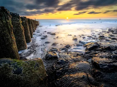 Alexsar Art Tuinschilderij strand palen 70x50cm