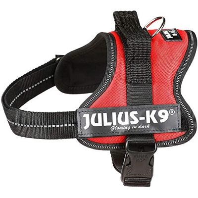 Hondentuigje Julius K9 Power Zwart M