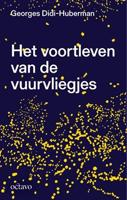 Het voortleven van de vuurvliegjes (Paperback) - thumbnail