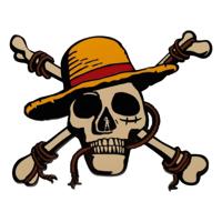 One Piece Medallion Jolly Roger Limited Edition - thumbnail