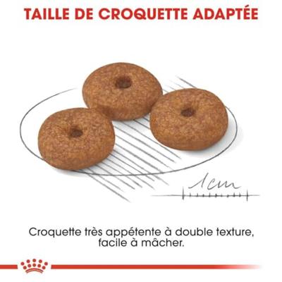 Royal Canin canin mini ageing +12 - thumbnail