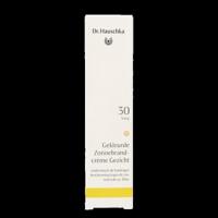 Dr. Hauschka Getinte Zonnebrand Crème 40ml - thumbnail