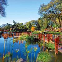 Notitieboek Cherry Blossom - thumbnail