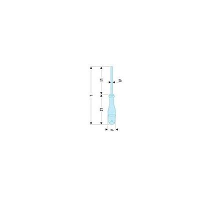 Facom Protwist® Schroevendraaier met Zeskantige Bled | Voor Sleufschroeven | 4 x 100 mm - ATW4X100CK