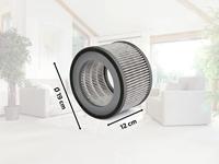 Leifheit Airfresh Clean 400 Reservefilter 1 stuk(s) - thumbnail