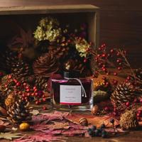 Inktpot Pilot Iroshizuku Momiji Autumn Leaves 50 ml - thumbnail