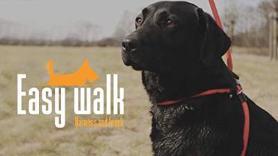 Easy Walk Handmodel Rood