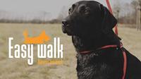 Easy Walk Handmodel Rood - thumbnail