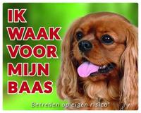 Cavalier King Charles Spaniel Waakbord - Ruby - thumbnail