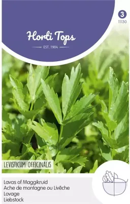 Zaden Lavas (maggiplant) Hortitops - Hortitops