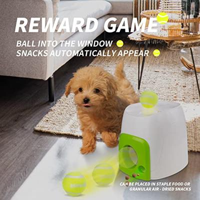 AFP INTERACTIVE FETCH 'N TREAT - thumbnail