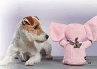 Knuffel voor honden Gloria Marvel Koe 20 cm - thumbnail