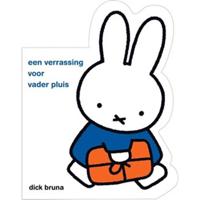 een verrassing voor vader pluis - thumbnail