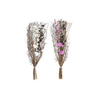 Boeket DKD Home Decor Roze Bruin Wit Gedroogde bloem (2 Stuks) (30 x 30 x 65 cm) - thumbnail