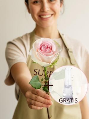 Enkele roze roos inclusief vaasje - Sweet Revival