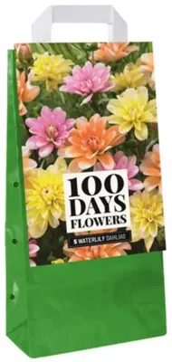 Tas Dahlia waterlily mix JUB 5 bloembollen - Jub