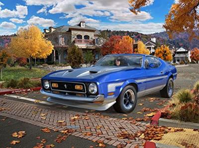 Revell 07699 71 Mustang Boss 351 Auto (bouwpakket) 1:25