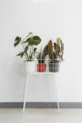 Bloempot B.for soft 16 cm wit elho - Elho