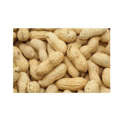 Konacorn doppinda's 1.2 kg emmer