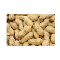 Konacorn doppinda's 1.2 kg emmer - thumbnail