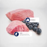 FARMINA N&D Prime Lamb & Blueberry - droog kattenvoer - 5 kg - thumbnail