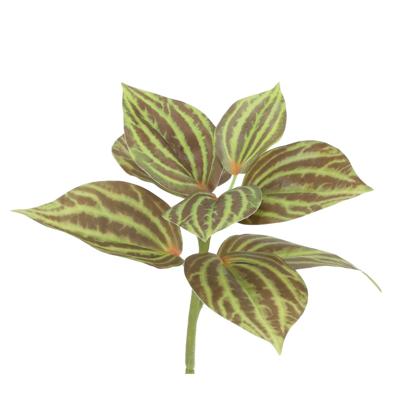 Peperomia Kunstplant groen/bruin 25cm